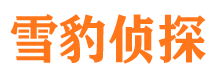 大理市侦探公司